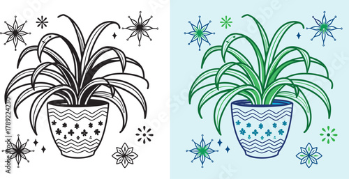 Vibrant potted spider plant with decorative stars and abstract floral motifs brings refreshing natural charm to any space, perfect for home decor and wellness themes.