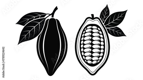 Cocoa pod silhouettes isolated on white background, Vector