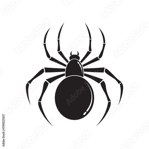 spider insect flat icon vector