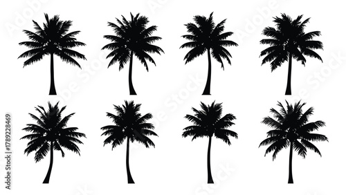 Palm tree silhouettes collection isolated on white background, Vector