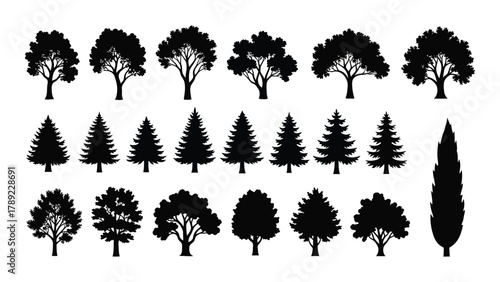 Diverse tree silhouettes collection isolated on white background, Vector