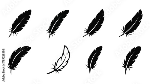 Feather silhouettes and outline icons set isolated on white background, Vector