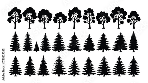 Diverse tree silhouettes collection isolated on white background, Vector