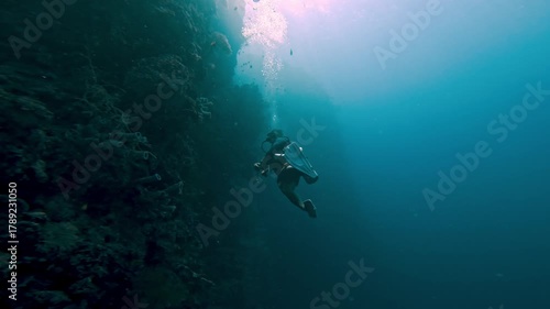 Diving Man Swimming at Coral Reef and Looking at Marine Fishes in Blue Ocean Water. Undersea Swimmer in Aquatic Environment of Sea Nature and Rock Plants. Concept of Diver Enjoying Underwater Animals