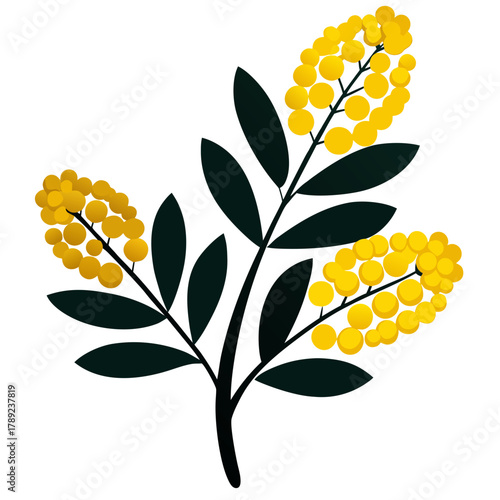 Mimosa flower silhouette on a clean white background