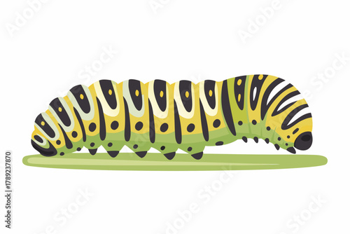 caterpillar on a leaf