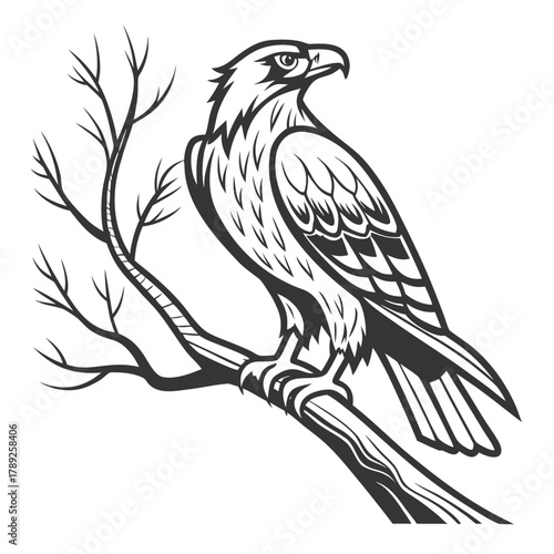 An eagle perched on a bare branch, showcasing its majestic presence and intricate feather details