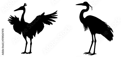 Elegant stork silhouette
