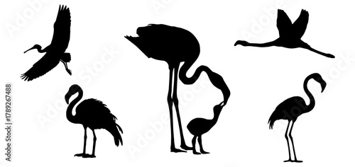Flamingo and Water Birds Silhouette Set