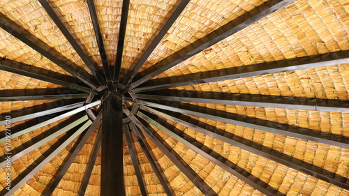 Domed roof steel structure. Under-roof architecture made of black painted steel connected to metal poles of a domed roof or spherical hut with selective focus.