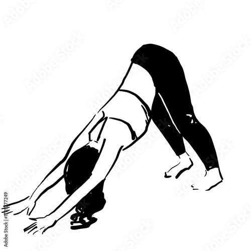 Woman doing yoga in downward dog pose.
Hand drawn vector illustration. Women's fitness illustration