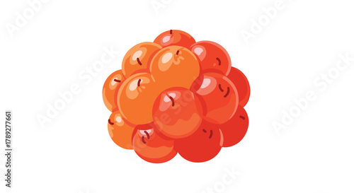 A vibrant illustration of a cluster of ripe cloudberries, showcasing their juicy orange and red hues against a clean white background.