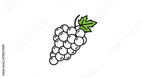 An illustration of a bunch of white grapes with a green leaf and a stem, presented on a clean white background.