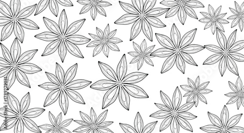 Hand-drawn black and white seamless pattern featuring scattered star anise pods, offering a botanical and culinary design element.