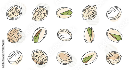 Hand-drawn illustrations of assorted nuts, including whole and cracked walnuts and open pistachios, in a clean, light aesthetic.