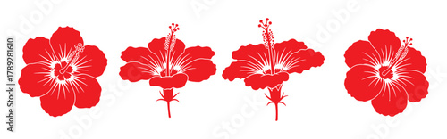 Collection of red hibiscus flower silhouettes. Isolated tropical floral illustrations on white