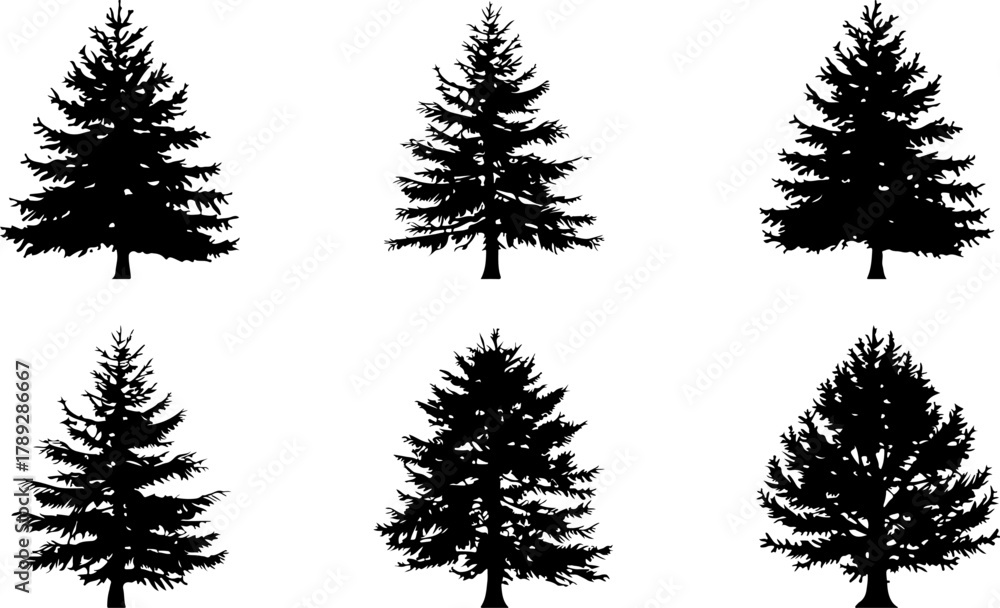 Fototapeta premium set of trees