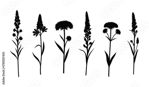 Monochrome plants and flowers silhouettes; botanical elements; nature vector illustration