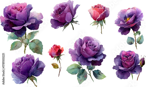 collection of flowers