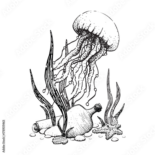 A graphic ink illustration underwater seaweed, jellyfish and scroll with a pirate bottle. Isolated drawing in a childish style is hand drawn. For coloring books and wrapping paper in a nautical theme.