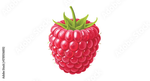 Detailed illustration of a single vibrant red raspberry, highlighting its delicate drupelets and fresh green calyx, isolated on a white background.