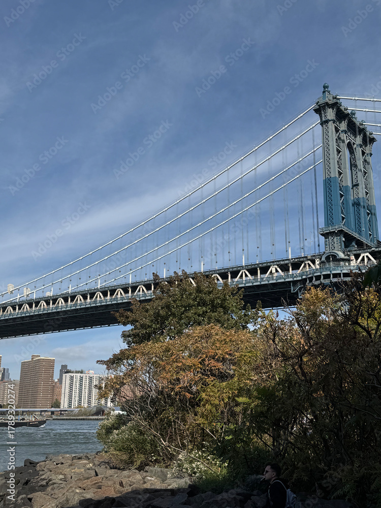 Fototapeta premium Manhattan Bridge in Brooklyn, New York