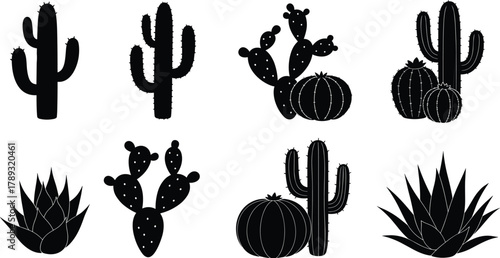 Cactus silhouette collection vector illustration, desert succulent plants set, black and white cactus design for decoration and botanical artwork