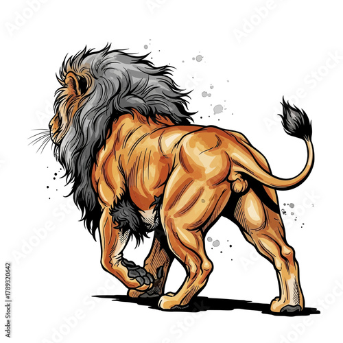 Illustration of a muscular lion walking away, showing its back and mane, with watercolor splatter effects.