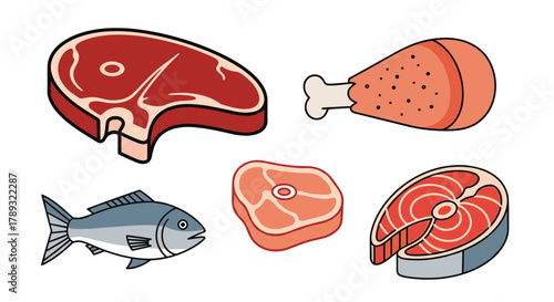 Colorful cartoon illustrations depicting a variety of raw protein sources, such as beef steak, chicken drumstick, whole fish, and a fish steak.