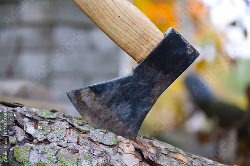 Axe blade cutting into a tree trunk, close-up view of the tool and wood