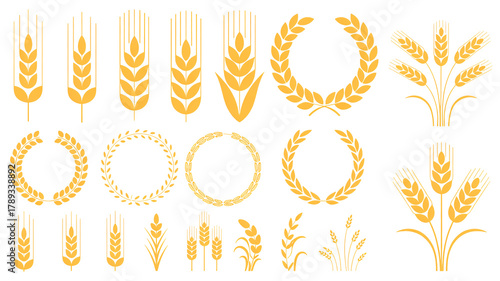 Golden wheat stalks and laurel wreaths for harvest festival and agriculture design
