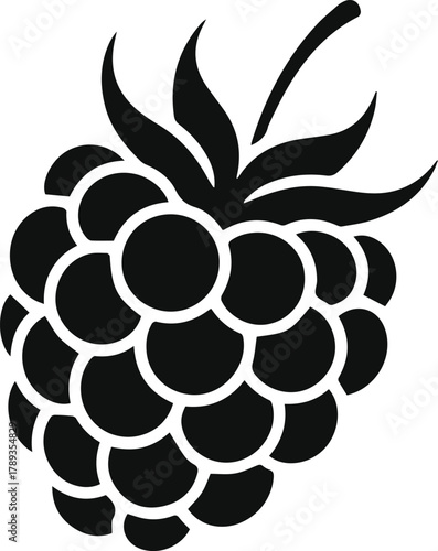 Minimalist black raspberry fruit silhouette icon