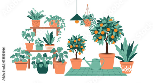 An illustration of various house plants, including citrus trees and hanging foliage, displayed on shelves and the floor in a warm setting.