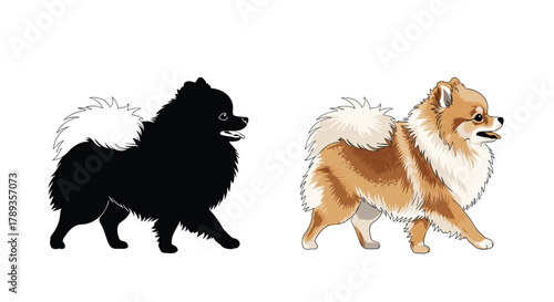 Vibrant colored and stark black silhouette illustrations of a fluffy Pomeranian dog walking on a clean white background.