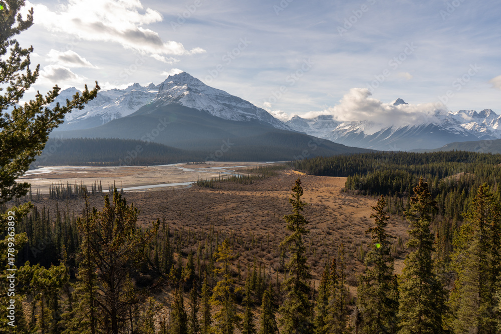 Fototapeta premium mountain meadow