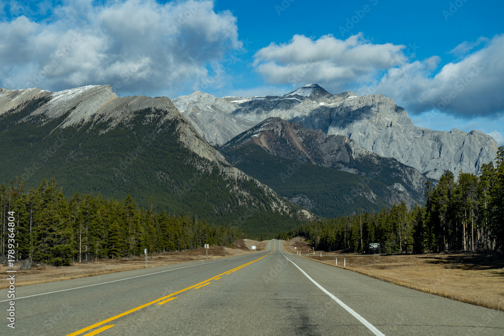 Fototapeta premium road in the mountains
