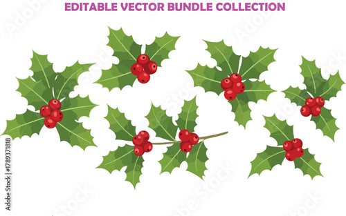 Holly berry icons set, Chritmas logo wirh holly berries.Christmas holly berry flat vector illustration icons set ,Cartoon holly leaves and berries.A simple illustration of holly leaves and berries