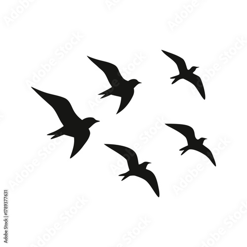 set of birds flying