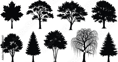 Collection of different tree silhouettes vector set showing various deciduous and coniferous trees isolated on white background for nature design.