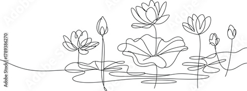 Continuous line drawing of lotus flowers and leaves