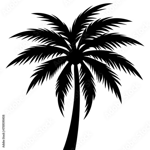 palm tree silhouette vector
