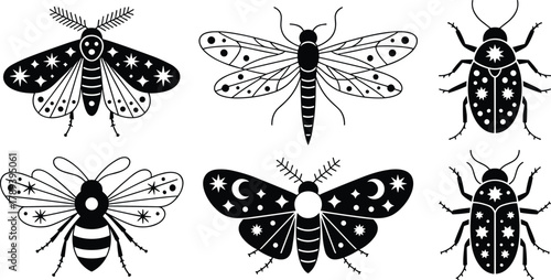 Black and white mystical insect illustration collection featuring moths, beetles, and bees with celestial moon star and cosmic elements