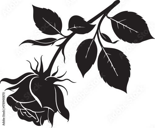 Elegant single wilted rose silhouette with delicate petals