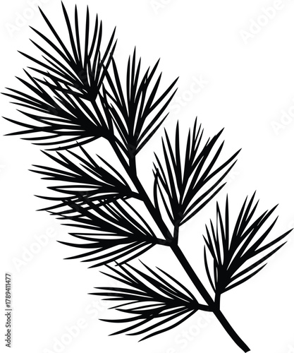 Pine branch silhouette Black silhouette of pine branch with detailed needles