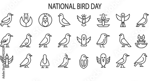 Diverse collection of minimal bird line art icons showcasing various avian species and abstract forms for design Vector