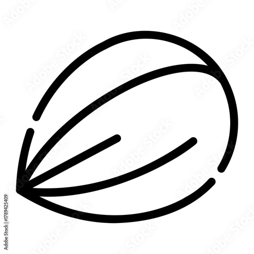 almond line icon