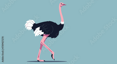 A stylized illustration of an ostrich walking across a light blue background with its legs extended.