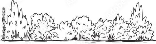 Black white line drawing of bushes vector