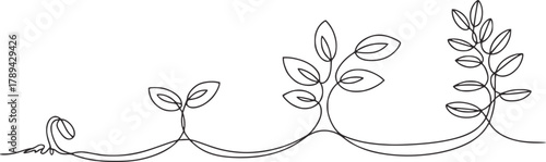 Plant growth stages line art seedling sprout