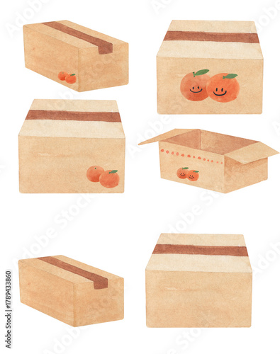 택배박스와 귤박스 수채화 일러스트